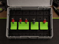 09 — Complete four-module combo loaded inside storage box